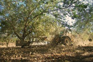 Blue Diamond Almonds Orchard Shaker